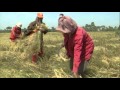 THE PARABLES OF JESUS The Sower and The Seeds Part 15 THE PARABLES OF JESUS The Sower and The Seeds Part 15