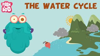 The Water Cycle | The Dr. Binocs Show | Learn Series For Kids