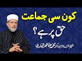 Which Party is on Right Path? | ___ __ _____ __ __ ___ | Shaykh-ul-Islam Dr Muhammad Tahir-ul-Qadri