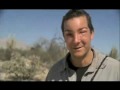 Bear Grylls Allergic to Bees