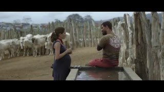 Trailer de Neon Bull — Boi Neon (HD)
