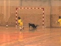 Turnaj minižáků v kopané FK Bolatice