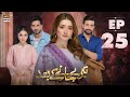 Teray Janay Kay Baad Episode 25  2 Sep 2024  ARY Digital Drama