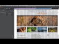 Adobe พรีวิว Edge Reflow ตัวช่วยออกแบบเว็บไซต์แบบ Responsive