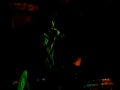The Horrors-Who Can Say