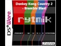 Rytmik Arrangement - Donkey Kong Country 2: Bramble Blast by MIscelaneo