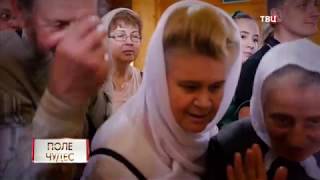 Поле чудес. Линия защиты