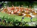 miniature