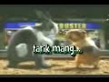 Image Mela Barbie Hot Penari Telanjang Koplo Hot