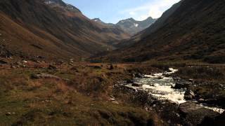 Der Imker (The Beekeeper) - Trailer