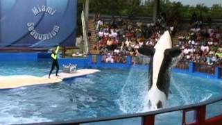 Lolita: Slave To Entertainment Trailer Hi rez (2003)