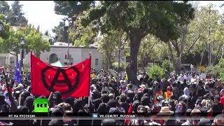 Демонстрации в калифорнийском Беркли переросли в столкновения ультраправых и левых