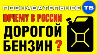 Почему в России дорогой бензин? (Артём Войтенков)