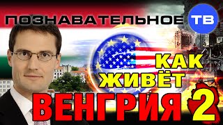 Как живёт Венгрия 2 (Познавательное ТВ, Мартон Дёндьёши)