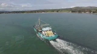 Mussel Fishing on Carlingford LoughMussel Fishing on Carlingford Lough