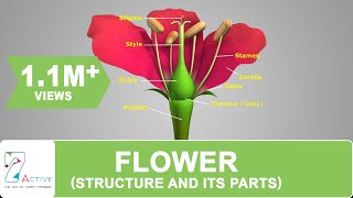 Flowers don't bloom Ch2.pdf - Google Drive