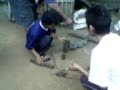 Photo Tragedy Sampit