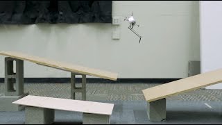 Прыгающий робот с «вестибулярным аппаратом» сможет помогать в спасательных операциях (23.05.2019 00:44)