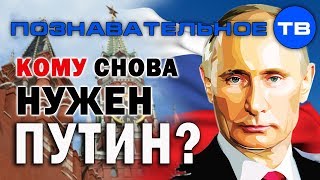 Кому снова нужен Путин? (Елена Гоголь)