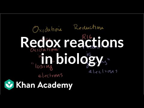 Oxidation and Reduction Review From Biological Point-of-View