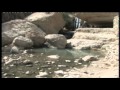 Our Search for Real Discoveries Around The Dead Sea Part 3 Our Search for Real Discoveries Around The Dead Sea Part 3