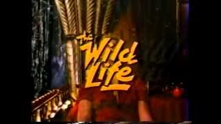 1984 The Wild Life    Movie Trailer