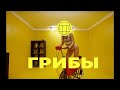 Грибы - Велик Грибы - Велик
