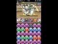 パズドラ アテナ 降臨!煌女神 超地獄級(落雷・キルア=ゾルディックPT) ノーコンクリア攻略