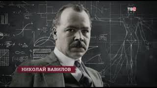 Что и когда нужно было сделать, чтобы СССР выжил? Альтернативный взгляд. Красный проект