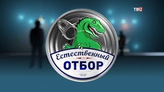 Дайджест. Естественный отбор