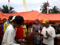 Image Merpati Balap Sepropinsi Riau