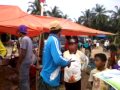 Picture Merpati Balap Sepropinsi Riau