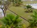 Picture Naughty Hostel Mongkies