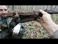 Фрагмент с начала видео Коп по войне - Война в болотах. На передовой / Searching with Metal Detector Фрагмент с начала видео Коп по войне - Война в болотах. На передовой / Searching with Metal Detector