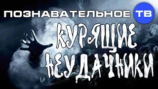 Курящие неудачники (Познавательное ТВ, Александр Могутнов)