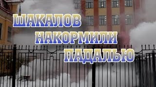 Нацболы "накормили украинского шакала" падалью