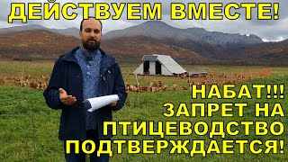 НАБАТ! Запрет на птицеводство подтверждается! ДЕЙСТВУЕМ!