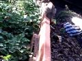 Image Anak Sma Mesum Di Hutan