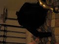 Picture Baile Moderno Phorno Capitulo 1