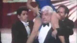 The Naked Gun 33 1 3 The Final Insult trailer