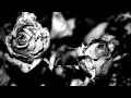 Porta-Mi Rosa Negra