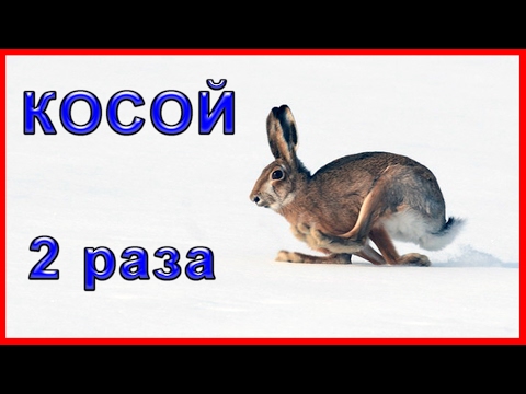 К чему снится снег в воде