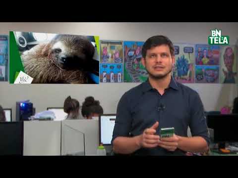 Confira os destaques desta terça-feira (14)