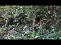 Picture Me Tarzan Original Fun With Fiverrs