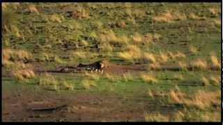 Revelations Trailer 2012