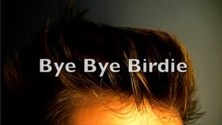 Bye Bye Birdie Trailer 2
