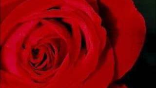 THE GIFT OF LOVE wedding, Mother's Day love gifts trailer songs b Marina 2014 cards