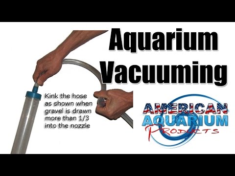 Aquarium Vacuum Demonstration