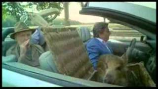 Albert est mechant 2004 Trailer.flv