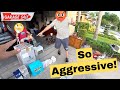 He Wouldn't Take NO For An Answer At This Garage Sale!